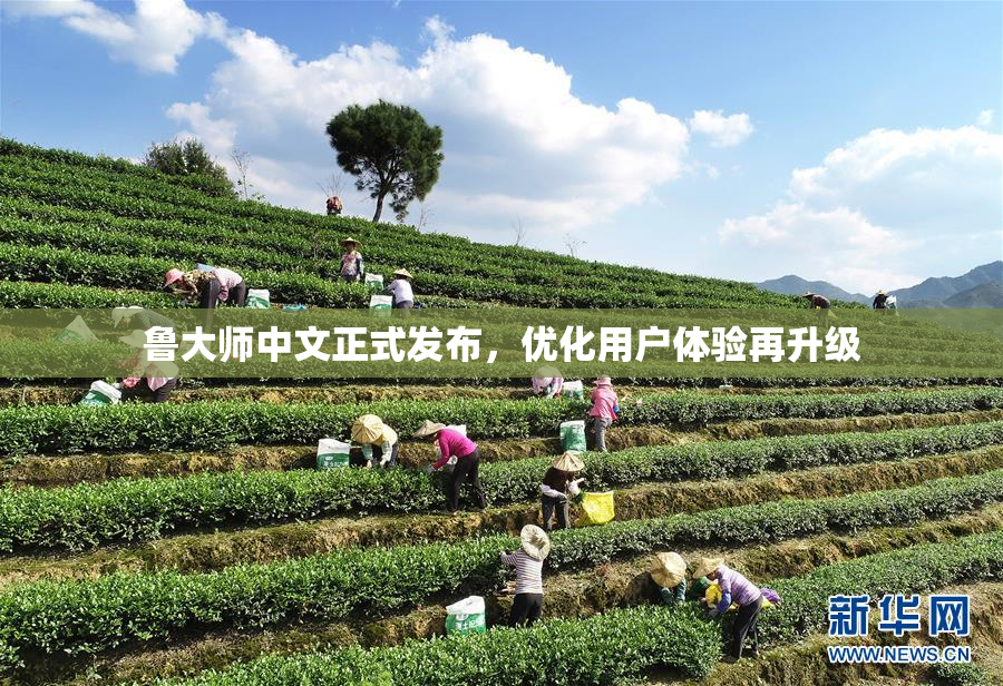 鲁大师中文正式发布，优化用户体验再升级