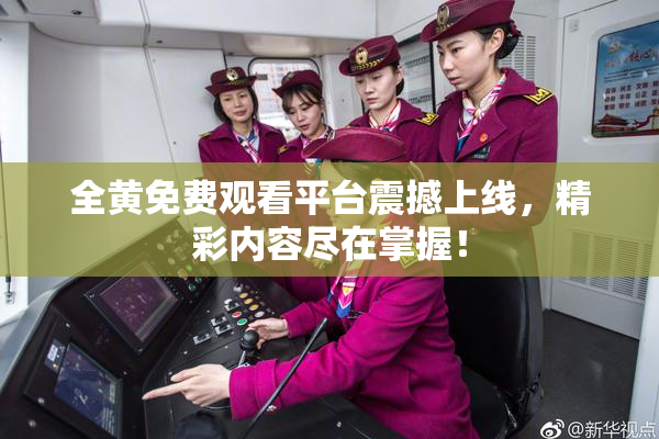 全黄免费观看平台震撼上线，精彩内容尽在掌握！