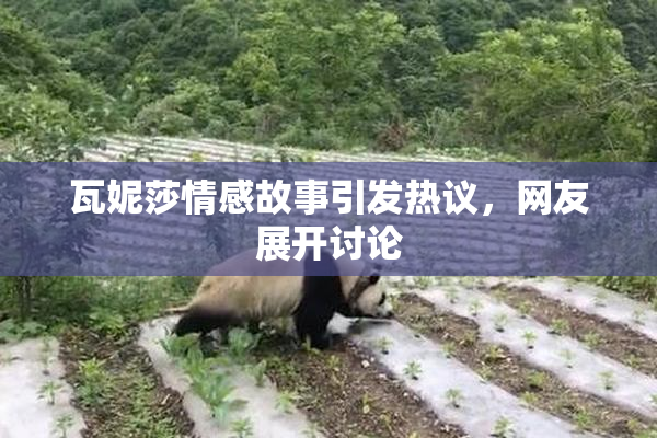 瓦妮莎情感故事引发热议，网友展开讨论