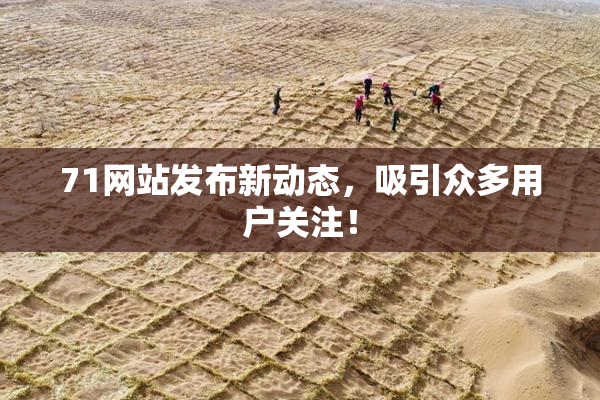 71网站发布新动态，吸引众多用户关注！