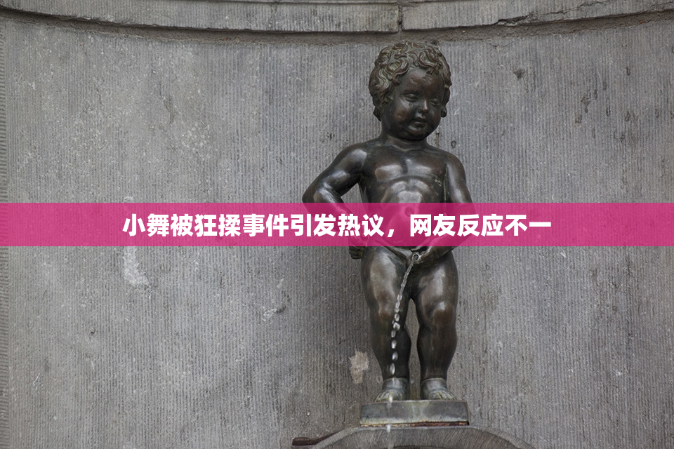 小舞被狂揉事件引发热议，网友反应不一
