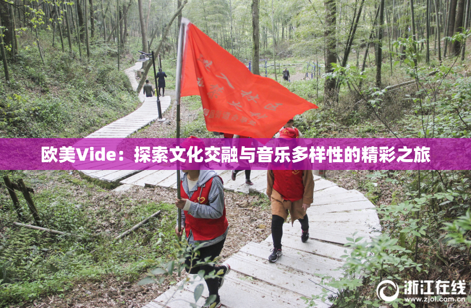 欧美Vide：探索文化交融与音乐多样性的精彩之旅