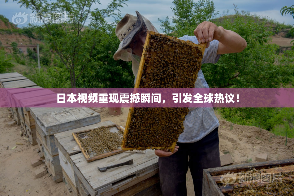 日本视频重现震撼瞬间，引发全球热议！