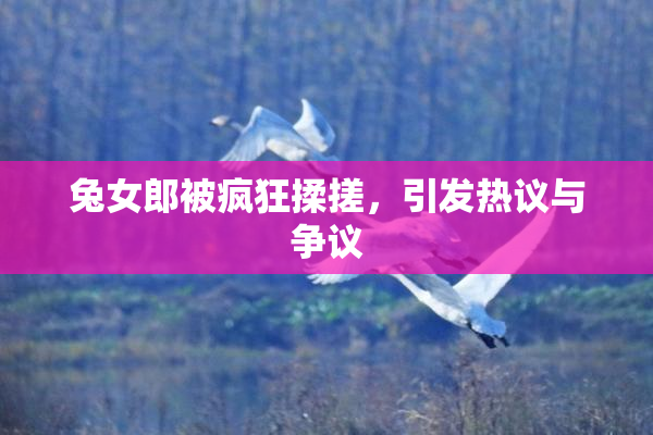兔女郎被疯狂揉搓，引发热议与争议