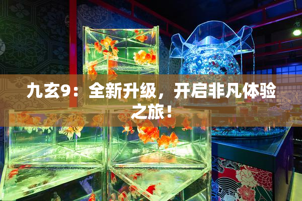 九玄9：全新升级，开启非凡体验之旅！