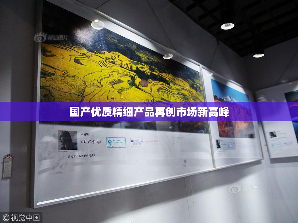 国产优质精细产品再创市场新高峰