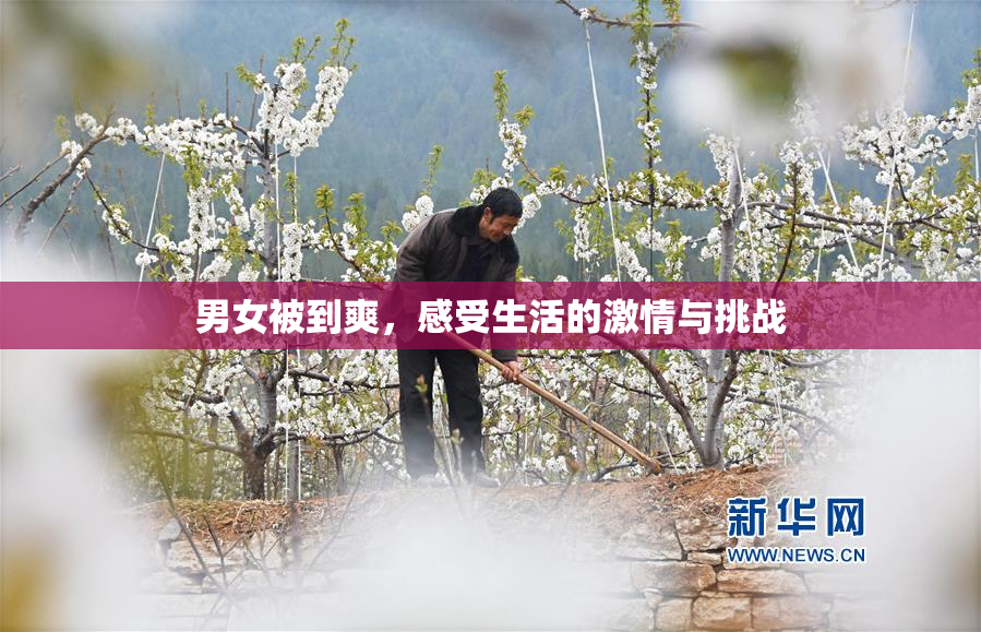 男女被到爽，感受生活的激情与挑战