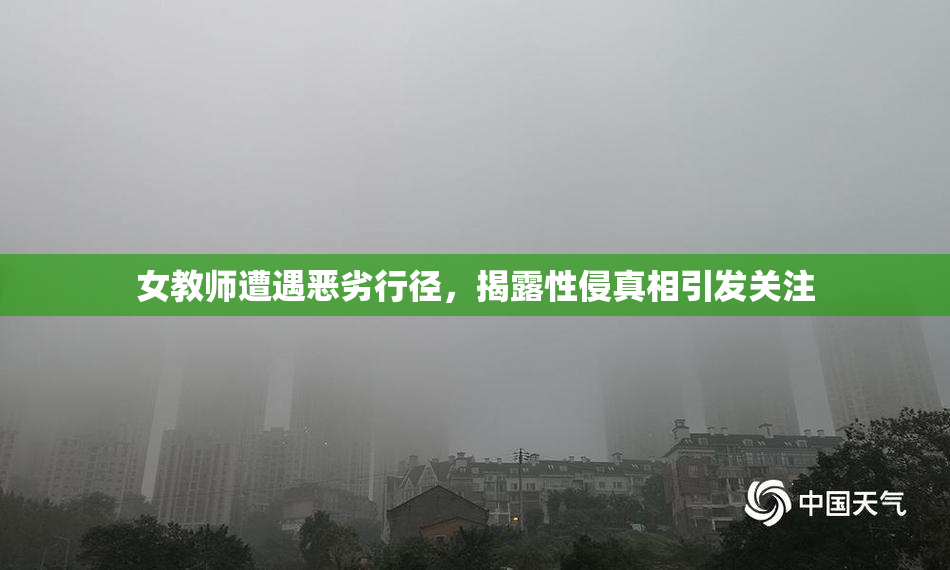 女教师遭遇恶劣行径，揭露性侵真相引发关注