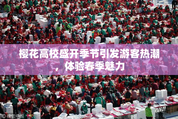 樱花高校盛开季节引发游客热潮，体验春季魅力