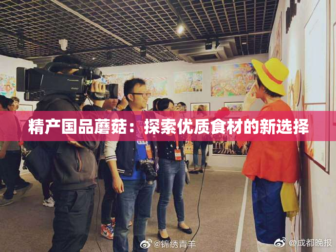 精产国品蘑菇：探索优质食材的新选择