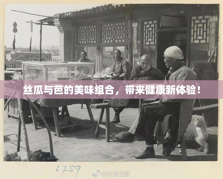 丝瓜与芭的美味组合，带来健康新体验！