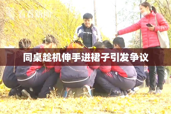 同桌趁机伸手进裙子引发争议