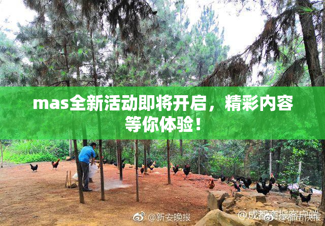 mas全新活动即将开启，精彩内容等你体验！