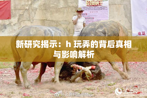 新研究揭示：h 玩弄的背后真相与影响解析