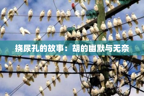挠尿孔的故事：胡的幽默与无奈