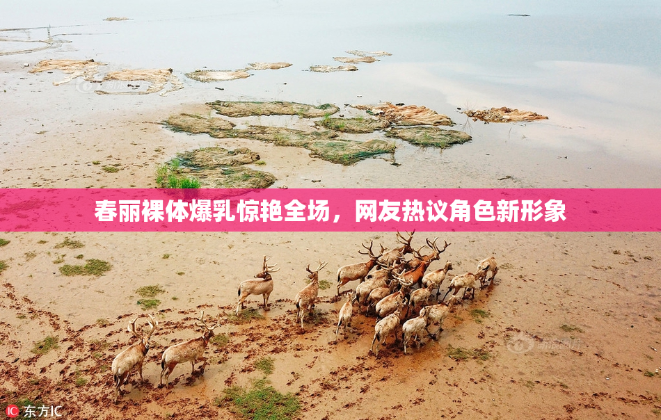 春丽裸体爆乳惊艳全场，网友热议角色新形象