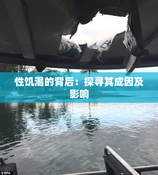 性饥渴的背后：探寻其成因及影响