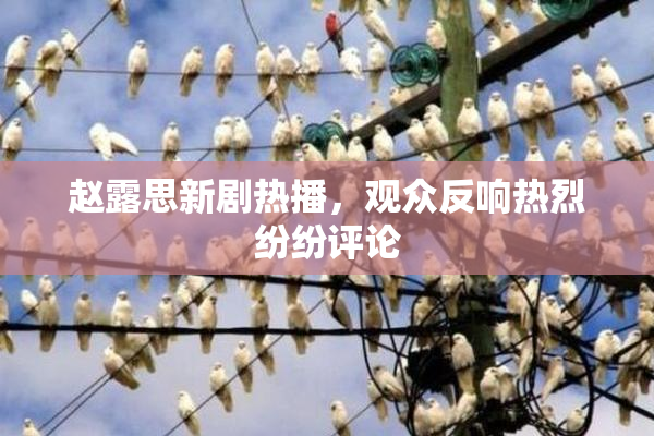 赵露思新剧热播，观众反响热烈纷纷评论