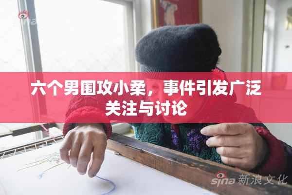 六个男围攻小柔，事件引发广泛关注与讨论
