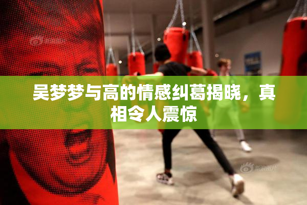 吴梦梦与高的情感纠葛揭晓，真相令人震惊