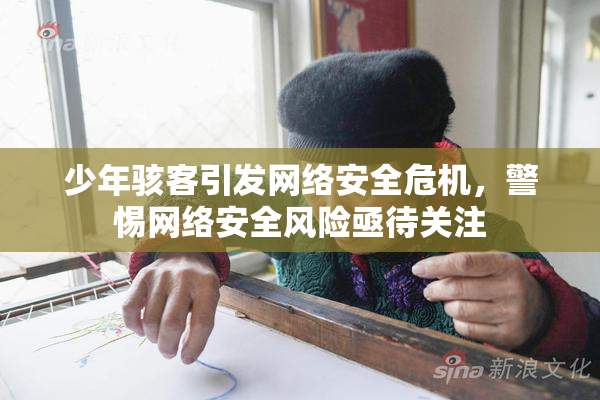 少年骇客引发网络安全危机，警惕网络安全风险亟待关注