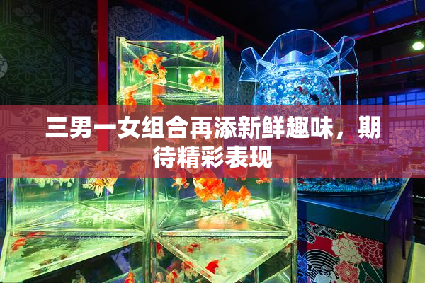 三男一女组合再添新鲜趣味，期待精彩表现