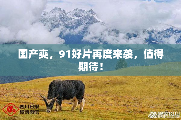 国产爽，91好片再度来袭，值得期待！