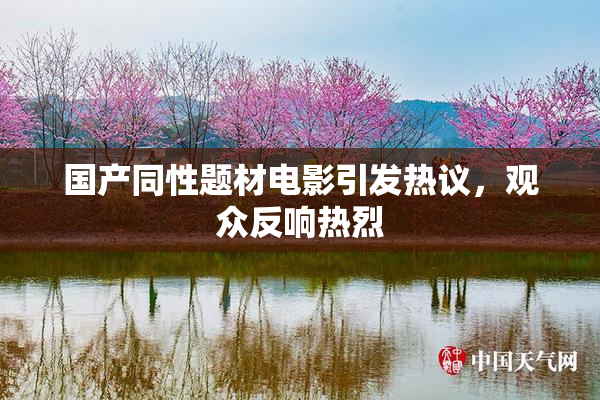 国产同性题材电影引发热议，观众反响热烈