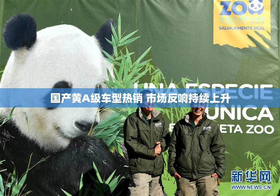 国产黄A级车型热销 市场反响持续上升