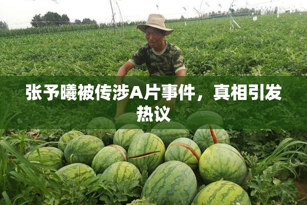 张予曦被传涉A片事件，真相引发热议