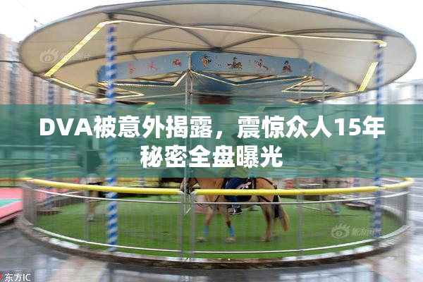 DVA被意外揭露，震惊众人15年秘密全盘曝光