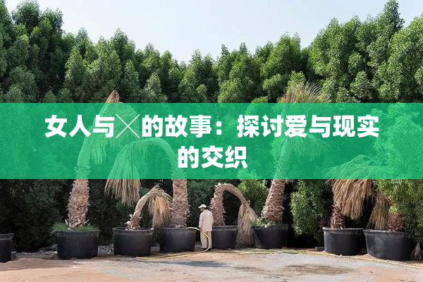 女人与╳的故事：探讨爱与现实的交织