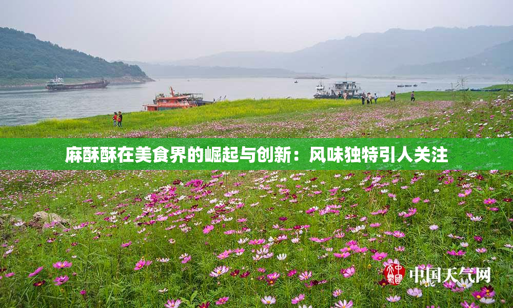 麻酥酥在美食界的崛起与创新：风味独特引人关注