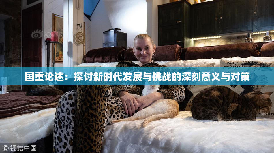 国重论述：探讨新时代发展与挑战的深刻意义与对策