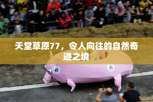 天堂草原77，令人向往的自然奇迹之境