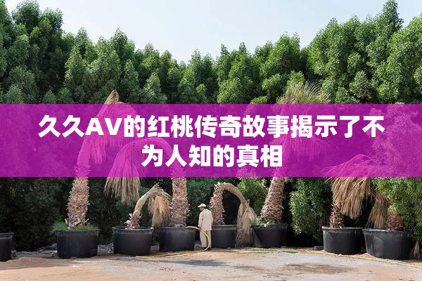 久久AV的红桃传奇故事揭示了不为人知的真相