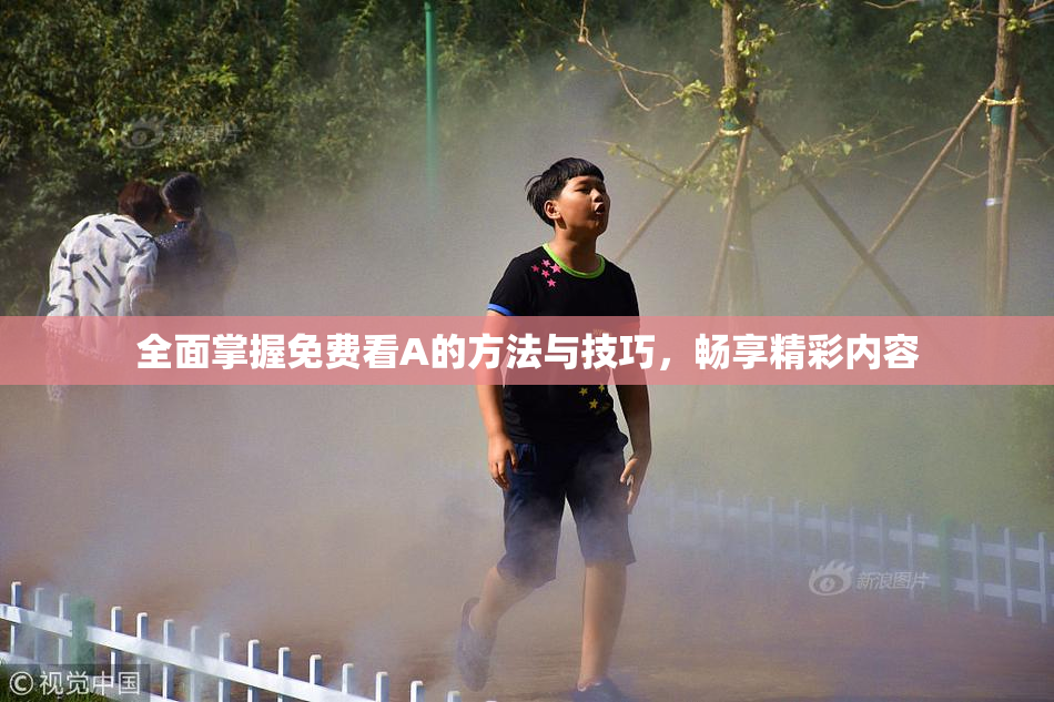 全面掌握免费看A的方法与技巧，畅享精彩内容