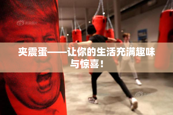 夹震蛋——让你的生活充满趣味与惊喜！
