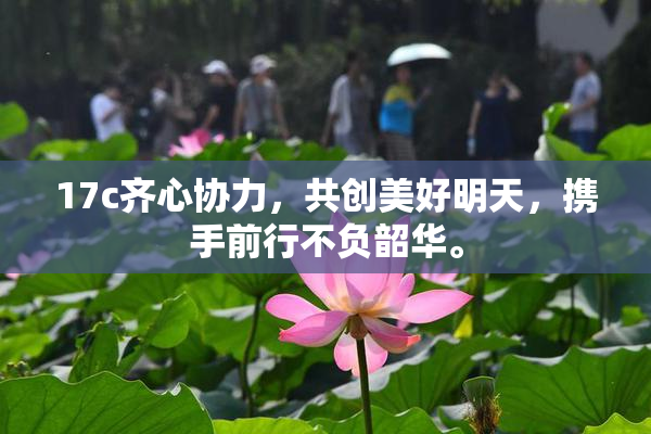 17c齐心协力，共创美好明天，携手前行不负韶华。