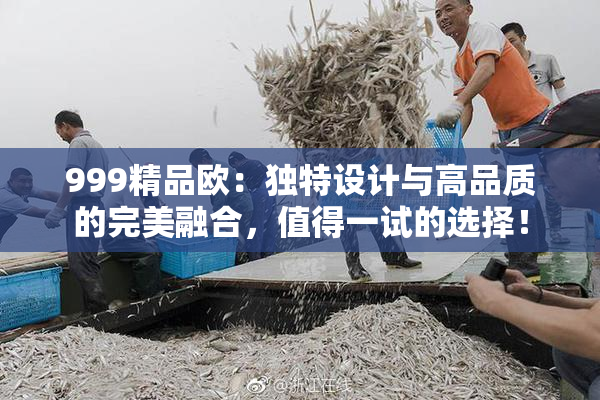999精品欧：独特设计与高品质的完美融合，值得一试的选择！