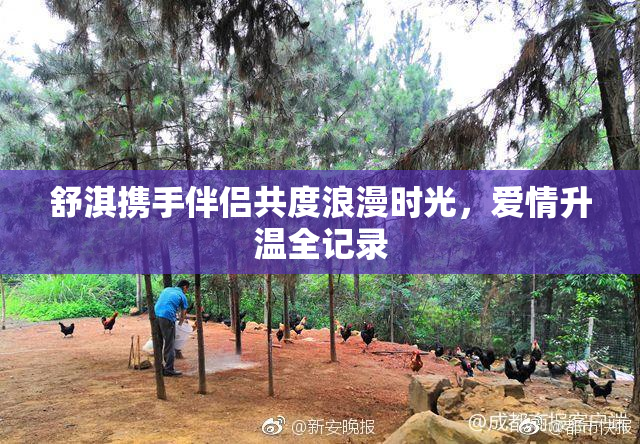 舒淇携手伴侣共度浪漫时光，爱情升温全记录