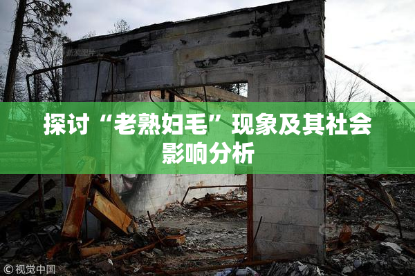 探讨“老熟妇毛”现象及其社会影响分析