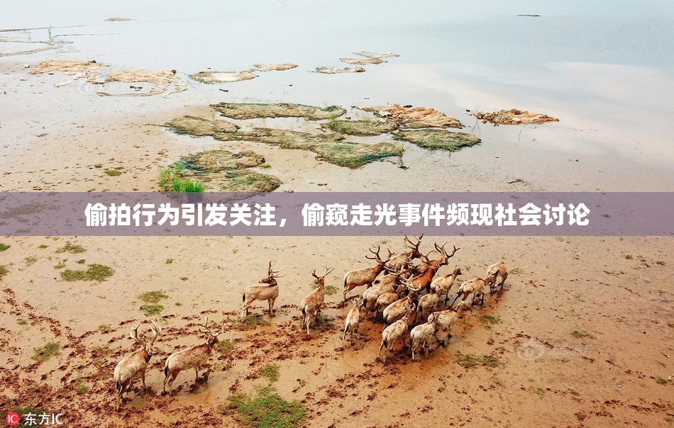 偷拍行为引发关注，偷窥走光事件频现社会讨论