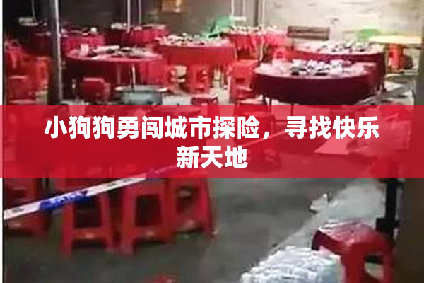 小狗狗勇闯城市探险，寻找快乐新天地
