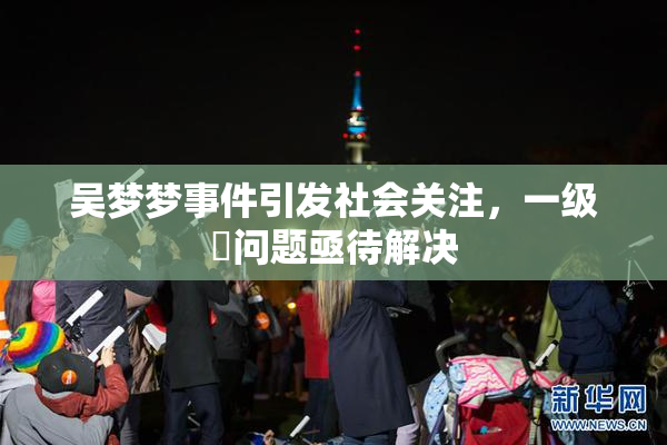 吴梦梦事件引发社会关注，一级婬问题亟待解决