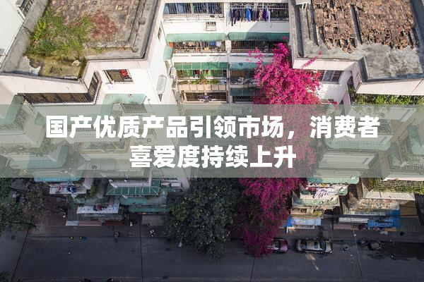 国产优质产品引领市场，消费者喜爱度持续上升