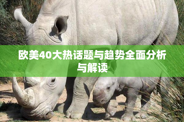 欧美40大热话题与趋势全面分析与解读