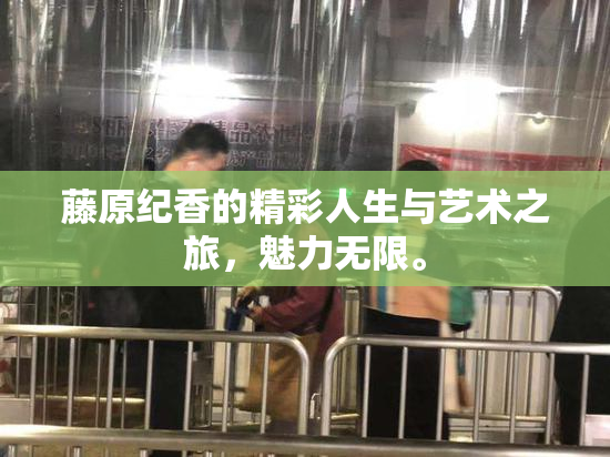 藤原纪香的精彩人生与艺术之旅，魅力无限。