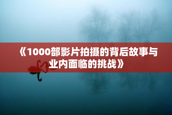 《1000部影片拍摄的背后故事与业内面临的挑战》
