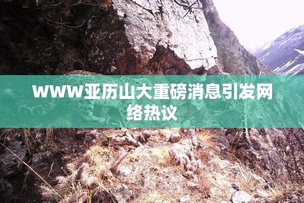 WWW亚历山大重磅消息引发网络热议